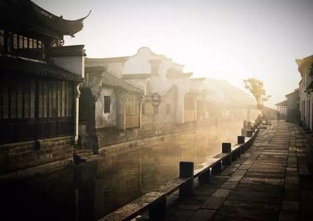 逃离仿真森林